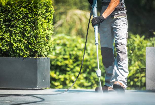Best Building Exterior Washing  in Trinity, FL