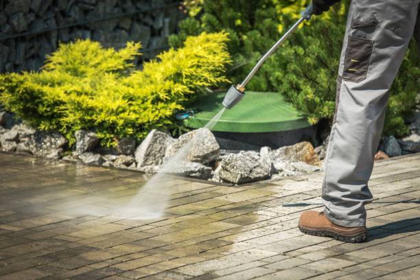 Best Playground Equipment Cleaning  in Trinity, FL