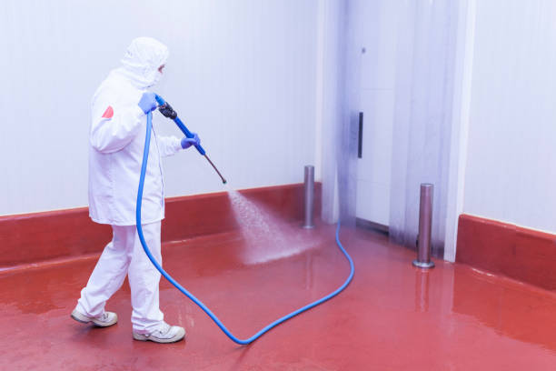 Best Post-Construction Pressure Washing  in Trinity, FL