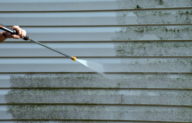 Best Fence Cleaning  in Trinity, FL