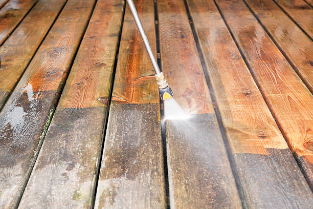 Trinity, FL Pressure Washing Services Company